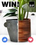 Win a Planter Worth up to $199.95 from Salt&Pepper on Facebook