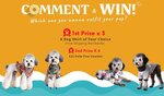 Win 1 of 3 Prizes of Hawaiian Shirts for Your Dog or Cat from Palm Paw