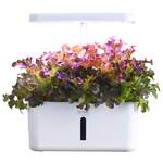 Buy 1 Get 1 Free Hydroponic System: e.g. PlantCraft 8 Pod System 2 for $69 Delivered / SYD C&C @ Mytopia