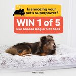 Win 1 of 5 Deluxe Snooza Dog or Cat Beds from Petbarn + Snooza