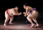 Win Ringside Seats to a Rare Sumo Demo (With a Japanese Feast by Mr Miyagi) at Sapporo Supper Club from Broadsheet