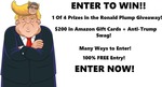 Win 1 of 4 Prizes in the Ronald Plump Giveaway