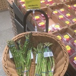 [QLD] Asparagus $0.90 Per Quiver @ Woolworths