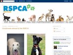 Adopt A Greyhound Dog - RSPCA Sydney - Reduced Adoption Fees till 4 March 2011