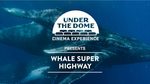 Win 1 of 5 Family Passes to 'Under The Dome: CinemaExperience' valued at $65 from West Australian Newspapers Ltd [WA Residents]
