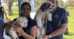 [WA] Free Health Checks for Dogs on 12 June 2025 (Booking Required) @ RSPCA, Balga