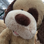 52inch HuggyPuppy Bear or Dog at Costco (Membership Required) $29.99 (Ringwood) 
