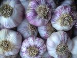 Kingfisher Brand (Murray VIC): Free Delivery eg. Purple Garlic Large 1kg $26 @ Farmhouse Direct