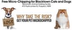Free Cat & Dog Micro Chipping Blacktown Residents, Non-Residents $31 (Sydney NSW)