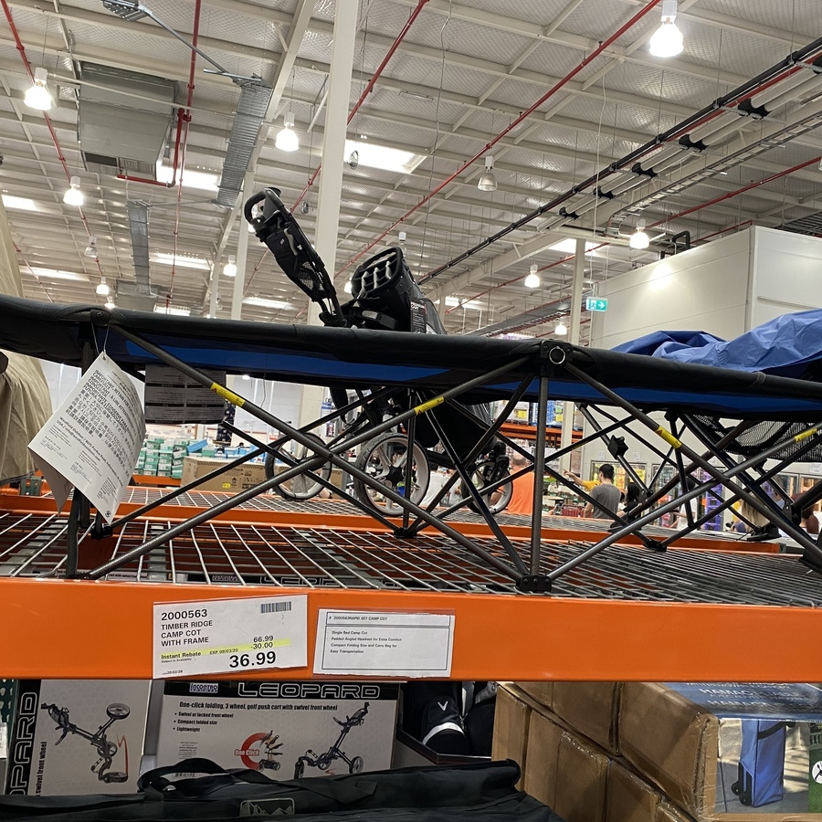 camping cot costco