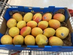 [VIC] Calypso Mangoes $10 Per Tray @ Henrys Mercato, Waverley Gardens