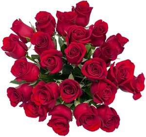 24 Long Stem Roses with Vase $149.99 Delivered on Valentine’s Day Only @ Costco (Membership Required)