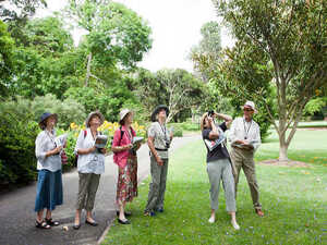 Free Guided Walks at Royal Botanic Garden (Sydney & Brisbane)