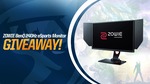 Win a ZOWIE BenQ 240Hz eSports Monitor from RogueGG