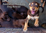 2 for 1 Deal - Australian Working Dog Rescue 2019 Calender ($21) Shipped @ awdrishop
