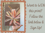 Win a Banksia Print from Solshine Arts