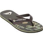 ½ Price Quiksilver Men's Slippers & Thongs: Molokai Art II $15, Haleiwa Core $15, Carver Swish $20 + Del ($0 C&C/ $120+) @ BCF