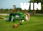Win an Eglu Pro + 9ft Chicken Run + Smart Autodoor Worth over $4,000 from Omlet