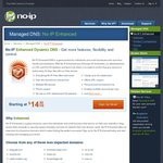 no-ip 2 Years Enhanced DNS $20