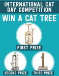 Win 1 of 5 Cat Furniture Prizes from Pet Circle