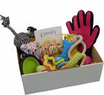 Dog Toys & Grooming 12 Piece Gift Box  $23.52 (21% off) + Delivery (Free with Prime / $49 Spend) @ Zenify Amazon AU