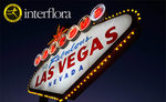 Win a Trip for 4 to Las Vegas from Southern Cross Austereo