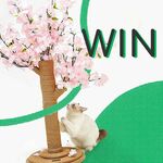 Win a VETRESKA Cat Scratching Tree (Worth $169.95) from Petmarket