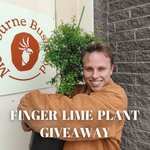 Win 1 of 50 Finger Lime Trees (Worth $120) from Melbourne Bush Food
