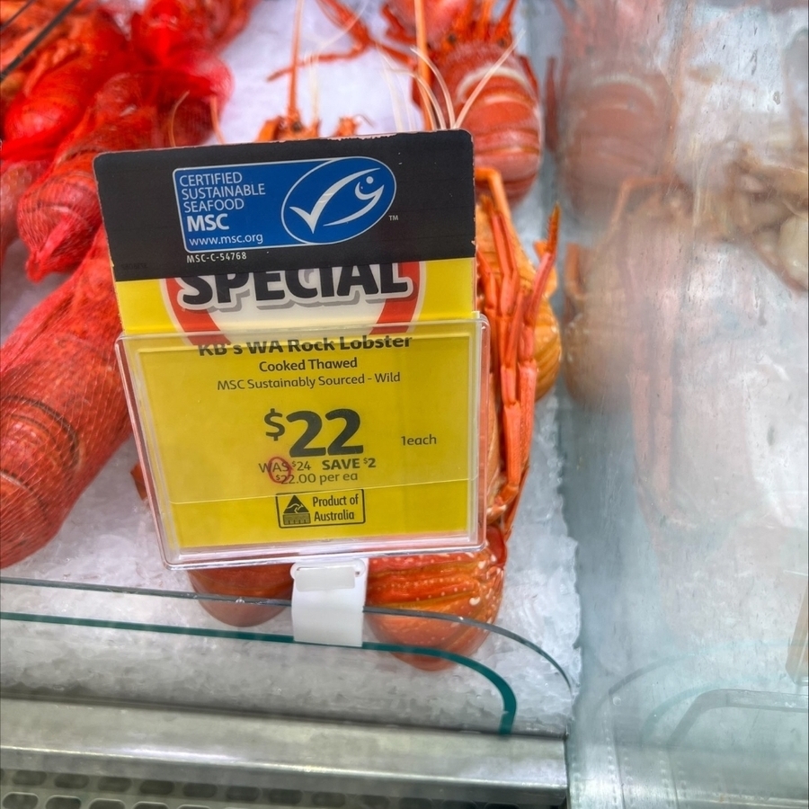 Cooked Thawed Small Rock Lobster Each $22 @ Coles - OzBargain