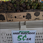 [QLD] Hass Avocados $0.05 Each @ Skippy's Fresh Frootz (Victoria Point)