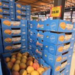 [VIC] Calypso Premium Mangos $16/Tray @ Sacca's Fine Foods, Blackburn North