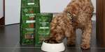 Free Dog Food Sample from Balanced Life - Air Dried, Raw, Grain Free