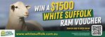 Win a White Suffolk Ram ($1500 Voucher) from White Suffolk