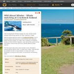 Wild About Whales - Whale Watching at Crackneck Lookout F.O.C.