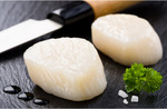 [VIC] Sashimi Grade Japanese Scallop 1kg $39.80 (Was $49) Free C&C Braybrook / $15 Delivery or Free $200+ Spend @ JFC Online