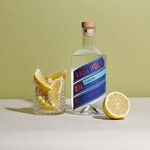 Win 1 of 5 East Pole Gin Prize Packs Worth $130 Each from MINDFOOD