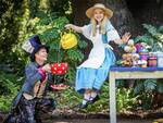 Win One of 3 Double Passes to Alice in Wonderland with Girl.com.au