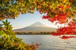 Win a Trip to Japan worth $13,500 from Intrepid Travel