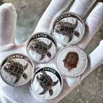Win 1 of 5 2 Oz Silver Niue Turtle Coins from Investor Crate
