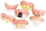 5pcs Funny Gift Costume Party Ugly Gag Fake Teeth US $1.99 Delivered @ Suntekstore.com