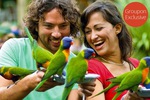 Currumbin Wildlife Sanctuary Tickets $20 on Groupon (QLD)
