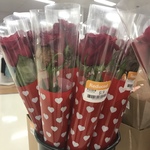 [NSW] Single Rose $1.50 (From $10.00) Clearance @ Big W Macquarie Centre