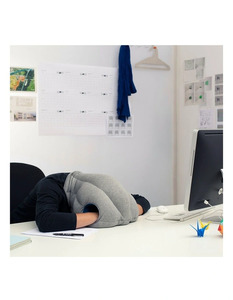 Myer 2024 travel pillow