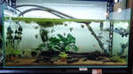 [NSW] 80cm 100L Glass Aquarium $149 + $20-$60 Sydney Area Delivery ($0 C&C) @ Sydney Aquascapes