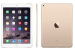 iPad Air 2 16GB $556 iPad Air 2 64GB $664, iPad Mini Retina $331 + More @ DSE