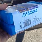 Twin Pack Ice Bricks [Small $1.50] [Large $2.00] @ Bunnings Oxley