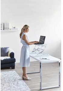 wynston sit stand desk