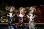 Win 1 of 3x Double Passes to See CATS! The Musical in Sydney on Sunday 1/11 from Wyza