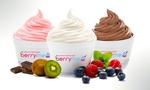 [WA] $20 to Spend at Berryme Frozen Yoghurt - $12 @ Groupon