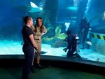 Win 1 of 5 Family Passes to SEALIFE Melbourne Aquarium Worth $140 from Kids WB [No Travel]
